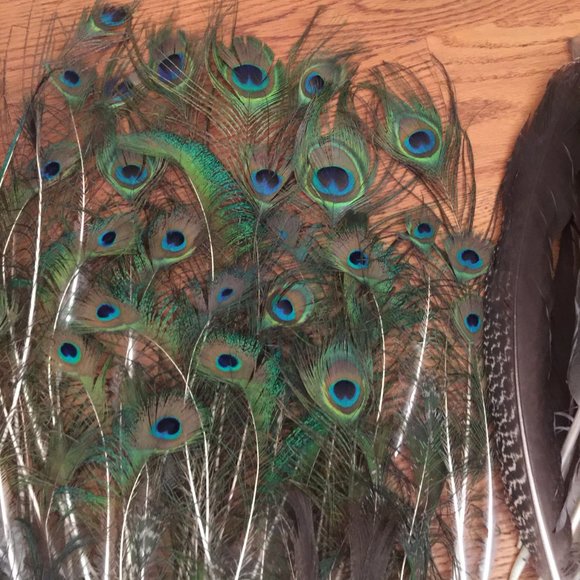 LOT 140 NATURAL PEACOCK BIRD FEATHER BOHO FESTIVAL CRAFT ART HOBBY COSTUME DECOR - Picture 7 of 16